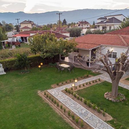 Вилла Castellano Vasiliki Vasiliki  Экстерьер фото