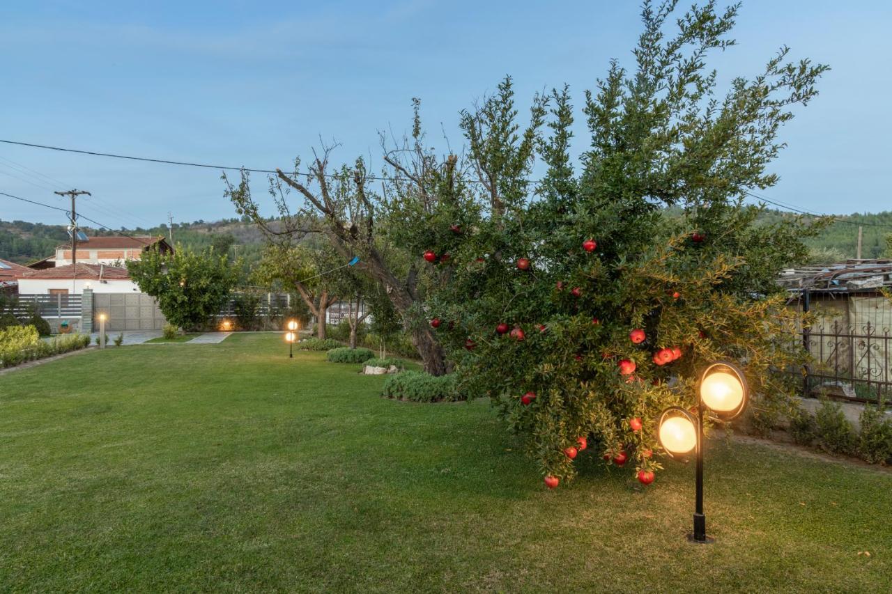 Вилла Castellano Vasiliki Vasiliki  Экстерьер фото
